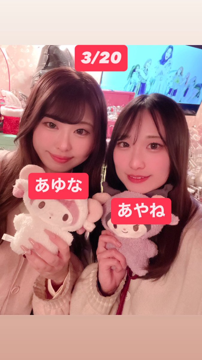 @macaron_staff の投稿画像