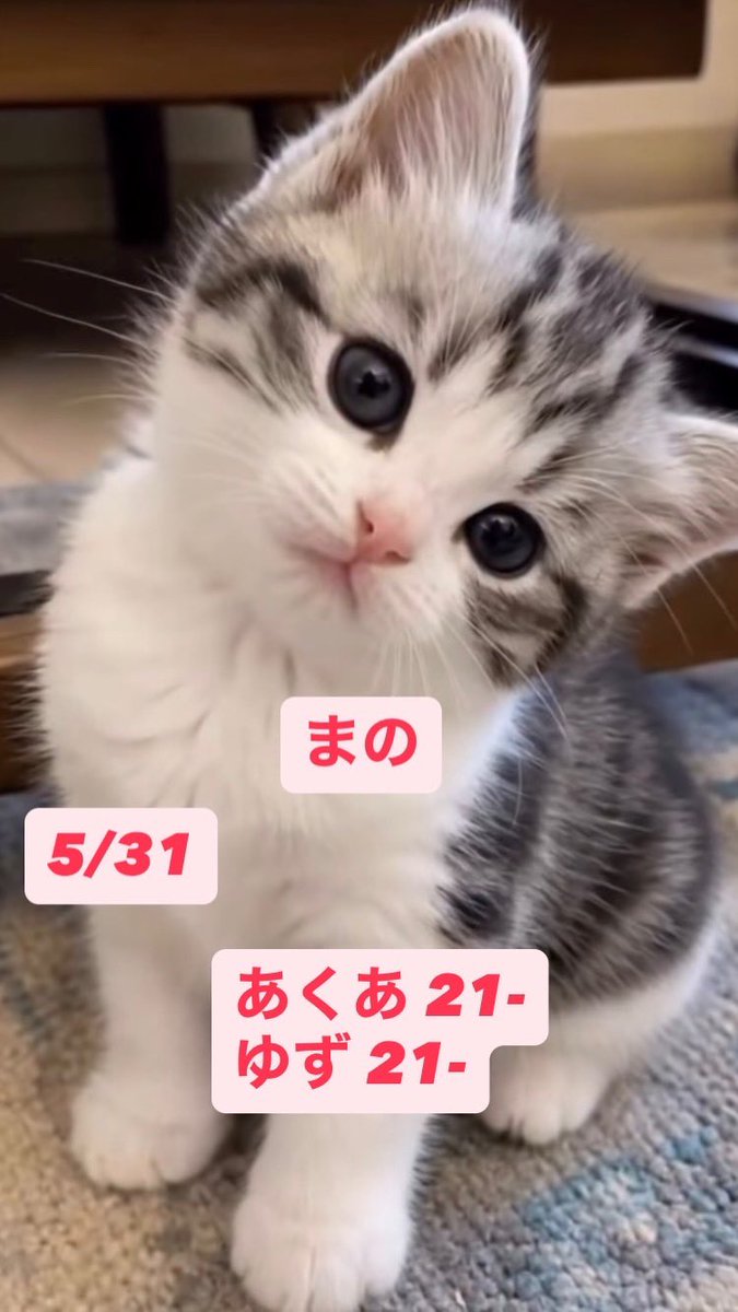 Barmacaron 公式X の投稿画像